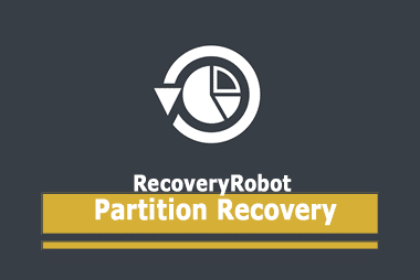 RecoveryRobot Partition Recovery