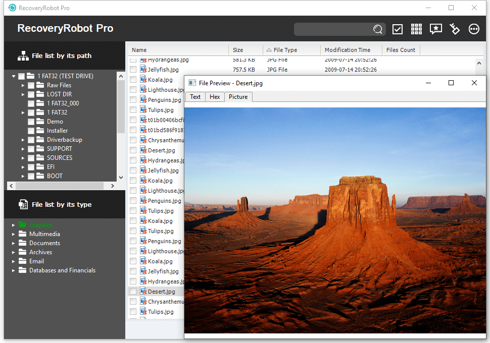 RecoveryRobot Pro - Preview an image