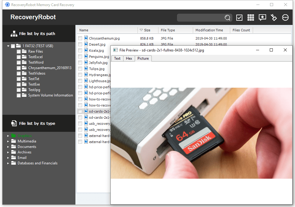 RecoveryRobot Memory Card Recovery - Preview an Image