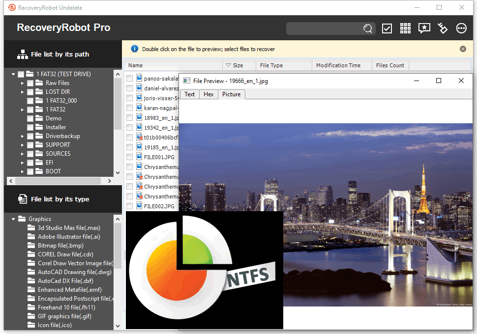 ntfs undelete license key windows